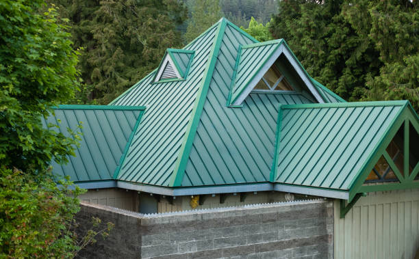 Best Skylight Installation and Repair  in Roscoe, IL