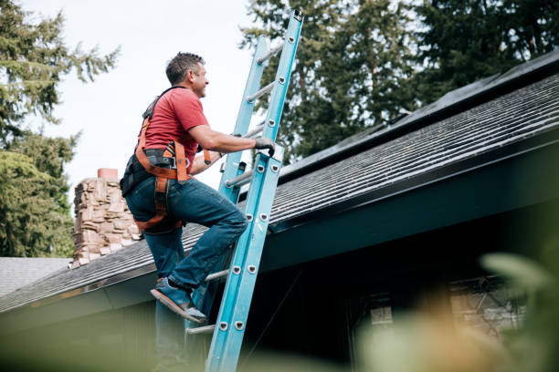 Best Gutter Installation and Repair  in Roscoe, IL