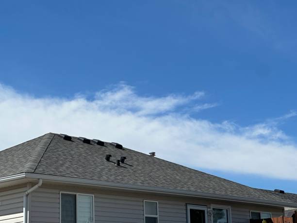 Best Roof Insulation Installation  in Roscoe, IL