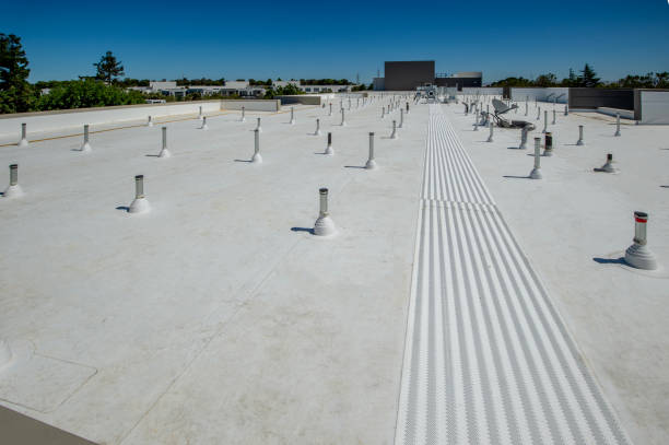 Best Solar Panel Roofing Installation  in Roscoe, IL